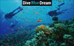 Σχολή Dive Blue Dream